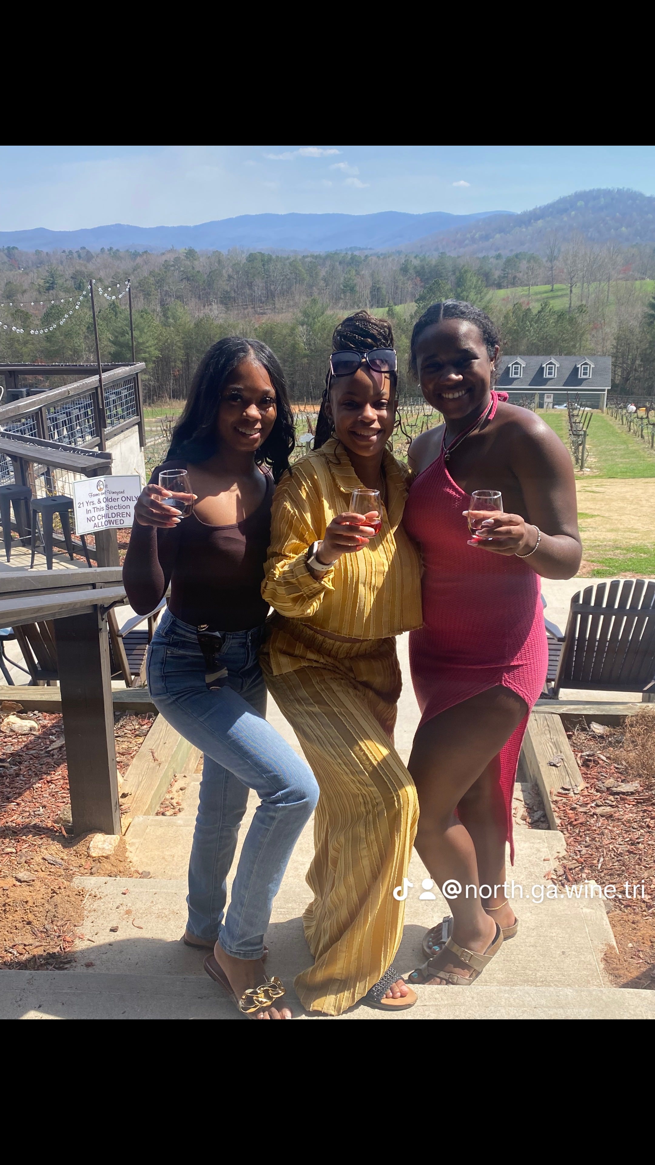 Wine tasting tour Atlanta private group inside winery