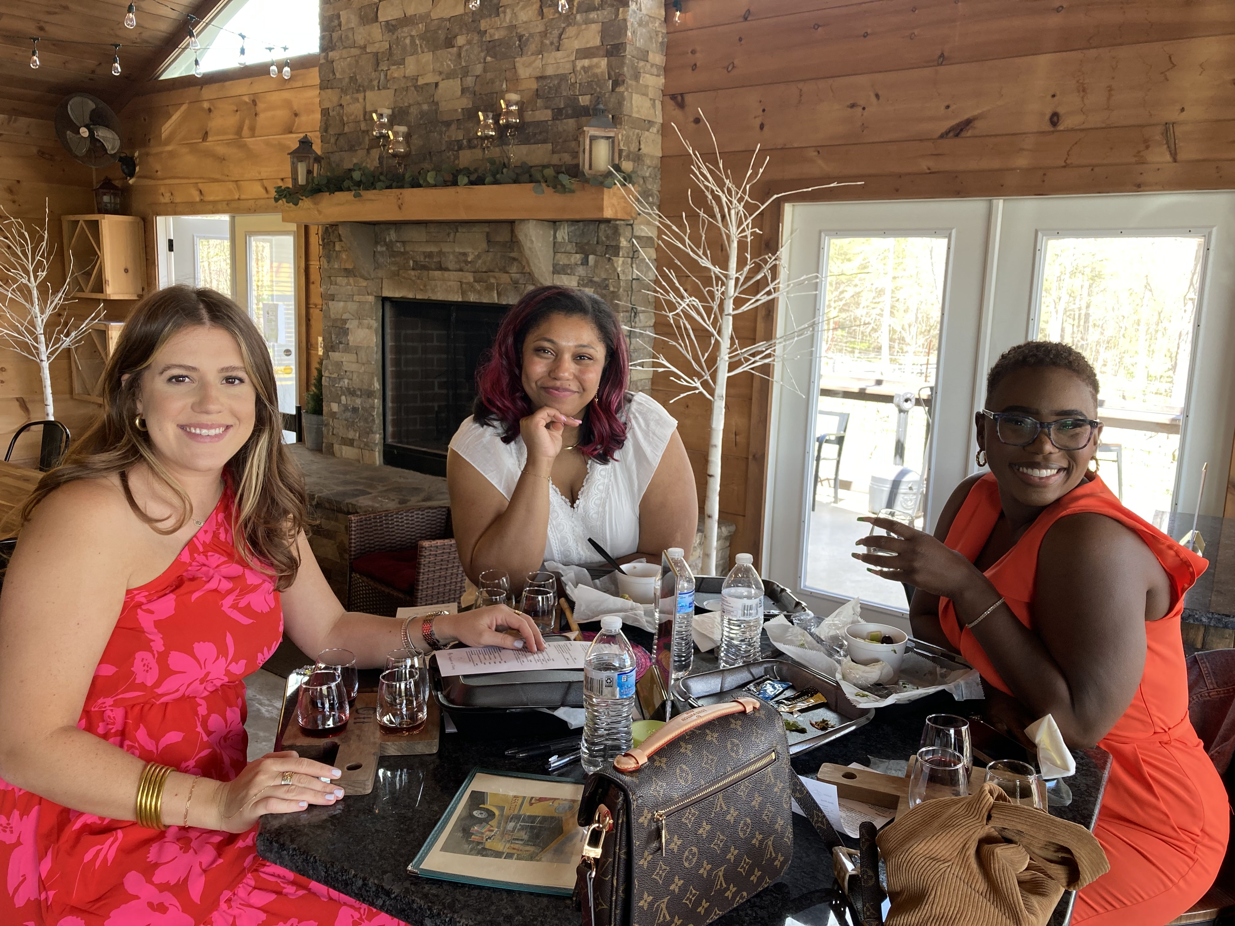 Atlanta wine tours private sprinter van skyline view