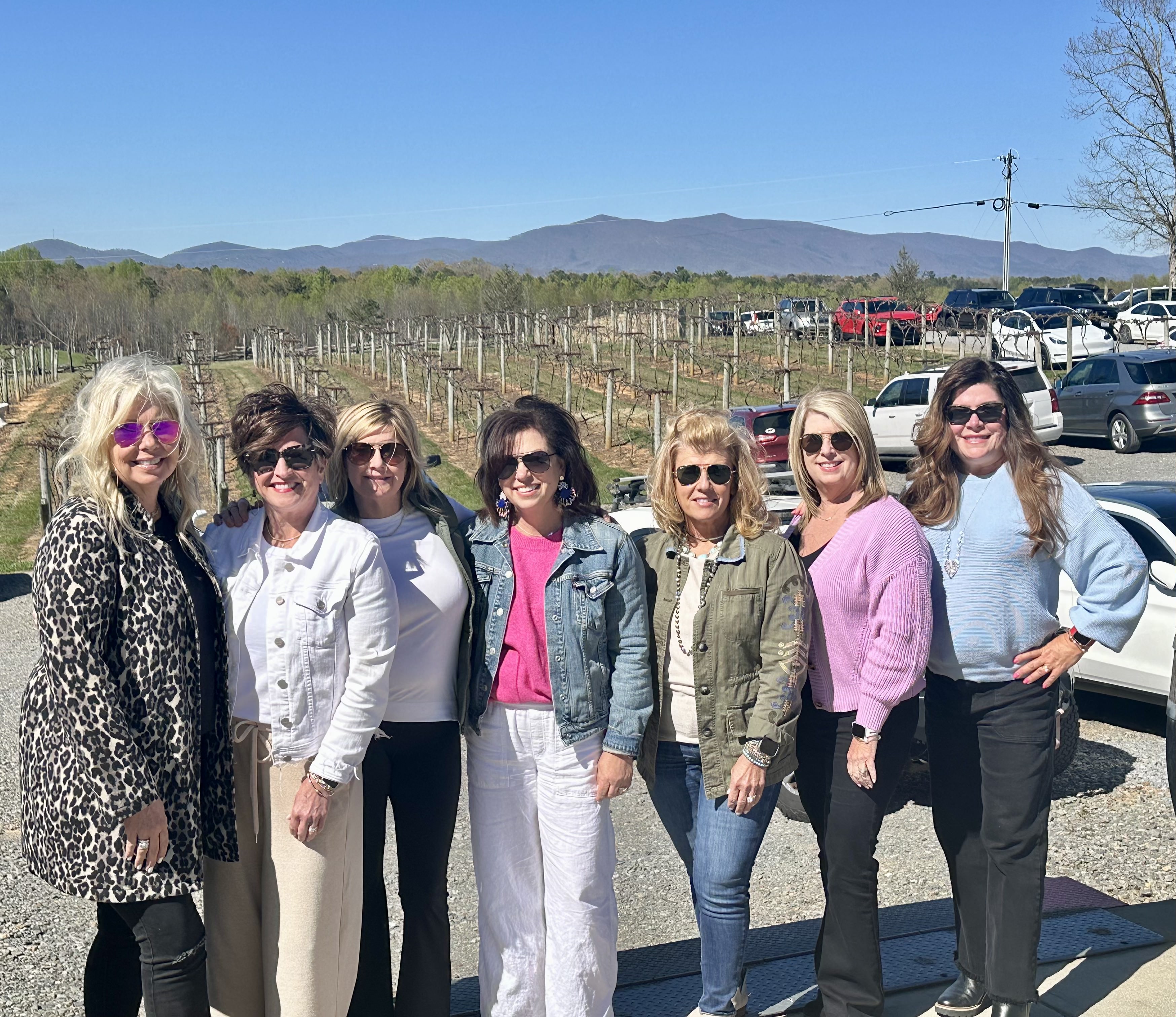 Ellijay wine tours private sprinter van