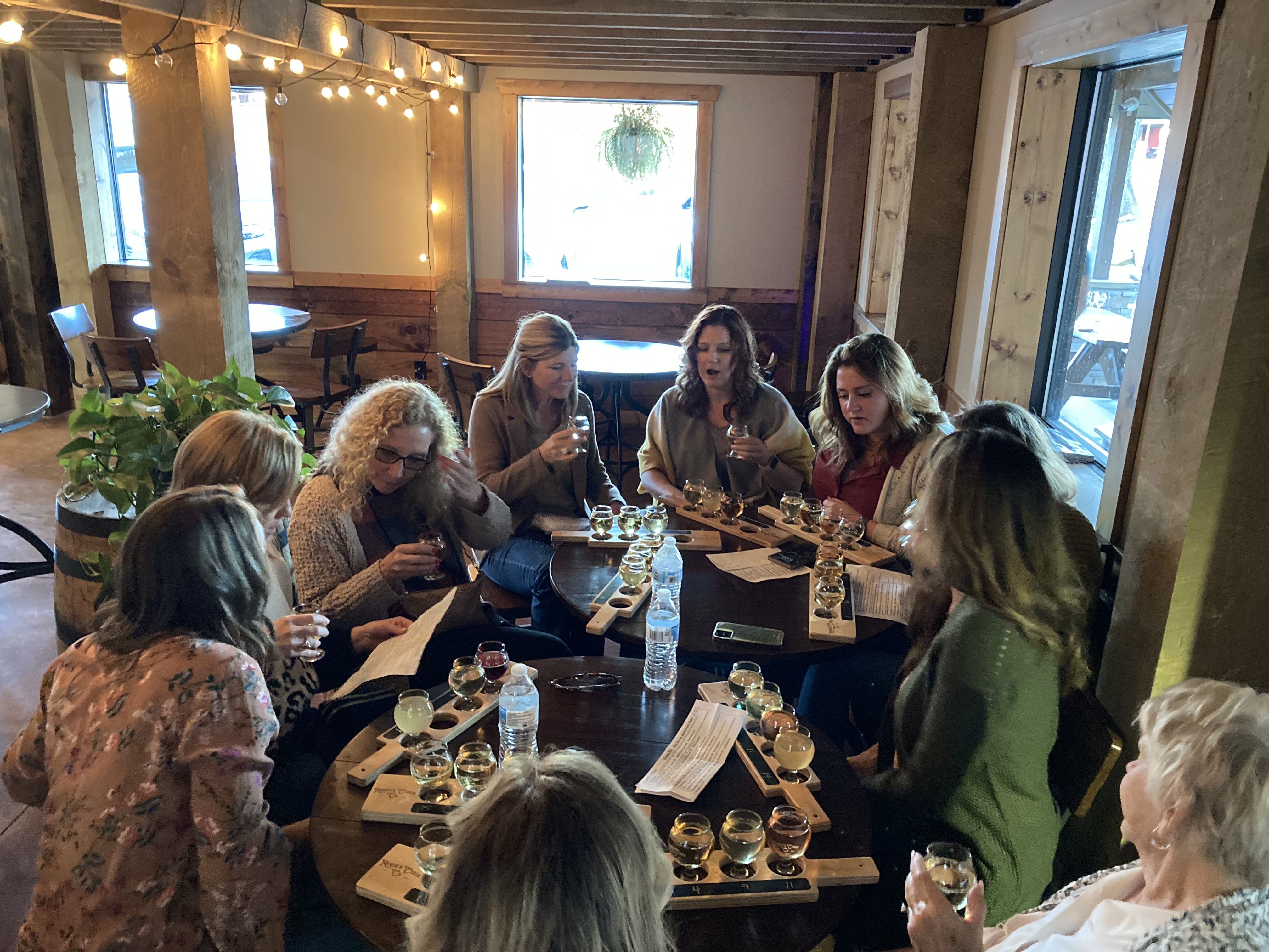 VIP wine tour experience with mountain views