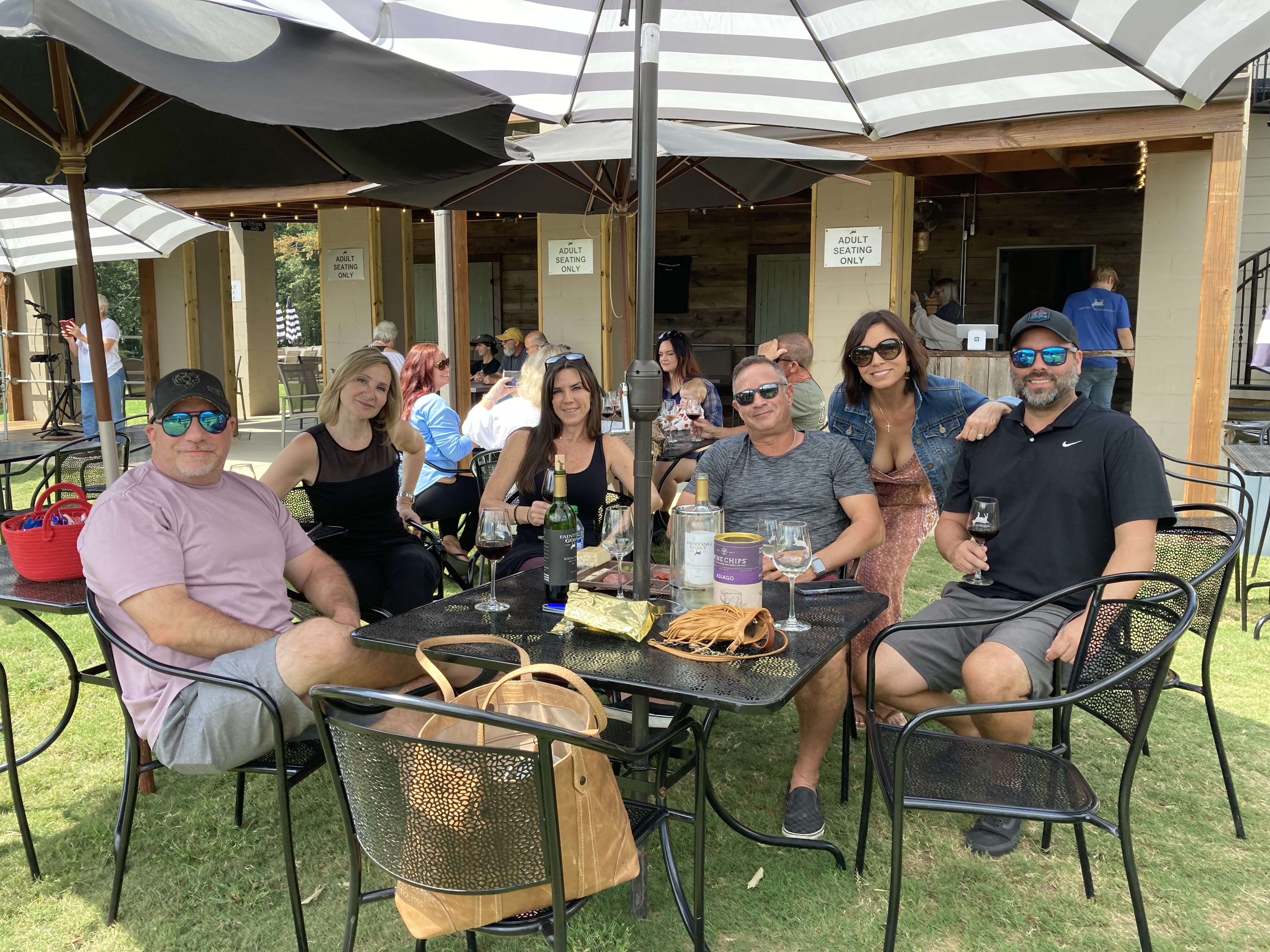 Dahlonega wine tours private vineyard view