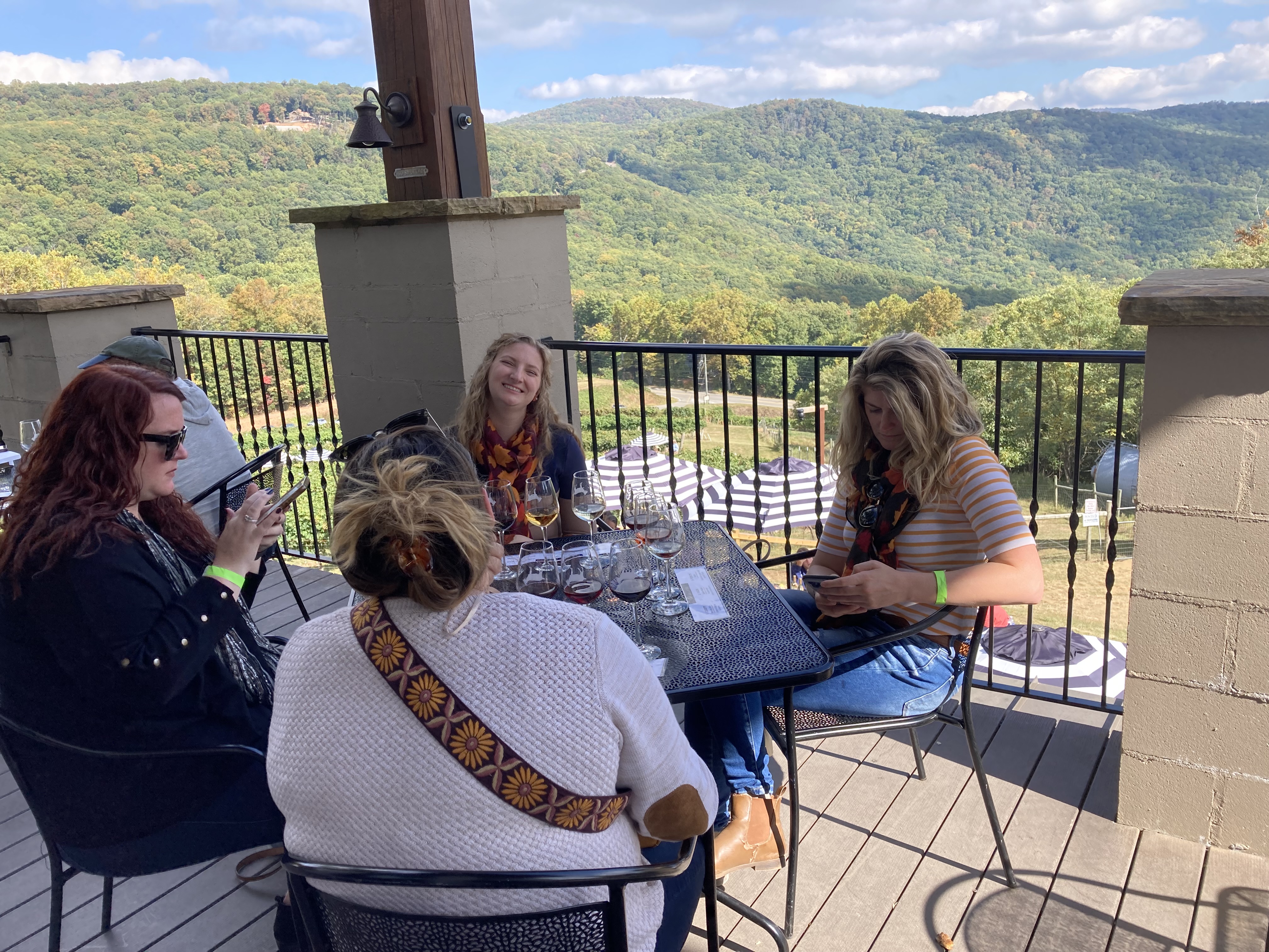 Dahlonega wine history overlooking vineyards
