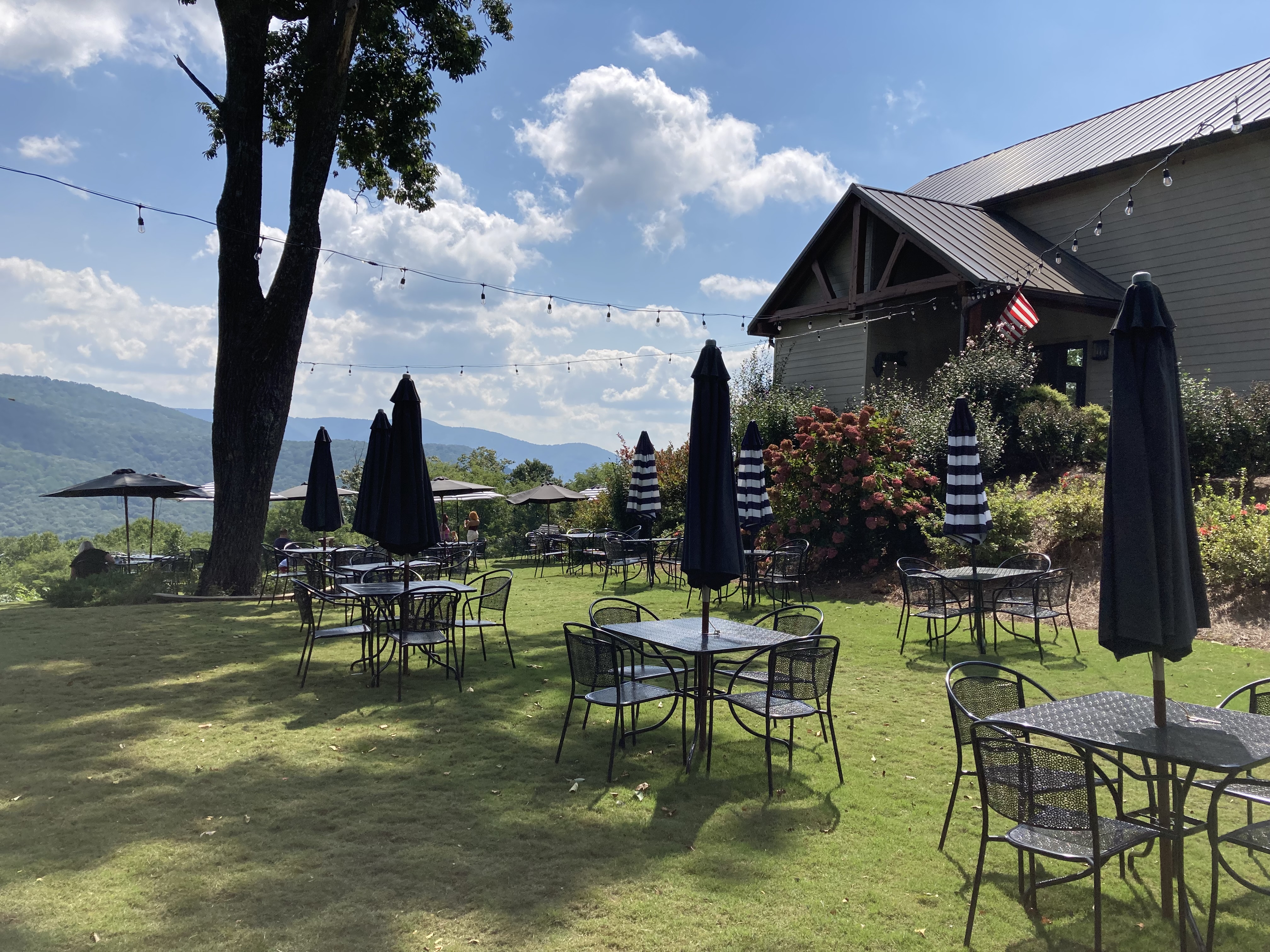 Luxury van on Ellijay wine trail